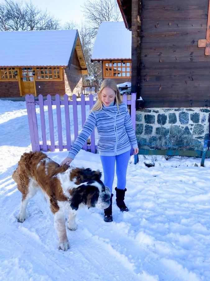 Villa Brvnare Mrkic Kremna Esterno foto